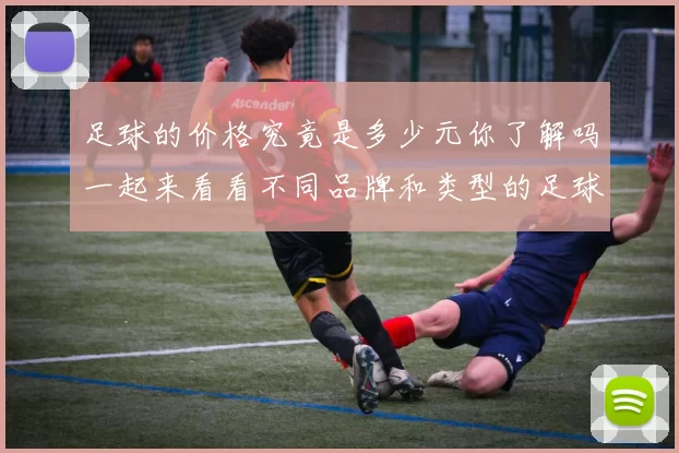 足球的价格究竟是多少元你了解吗一起来看看不同品牌和类型的足球价格吧