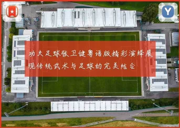 功夫足球张卫健粤语版精彩演绎展现传统武术与足球的完美结合