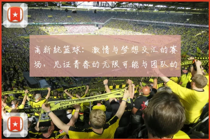 高新航篮球：激情与梦想交汇的赛场，见证青春的无限可能与团队的力量